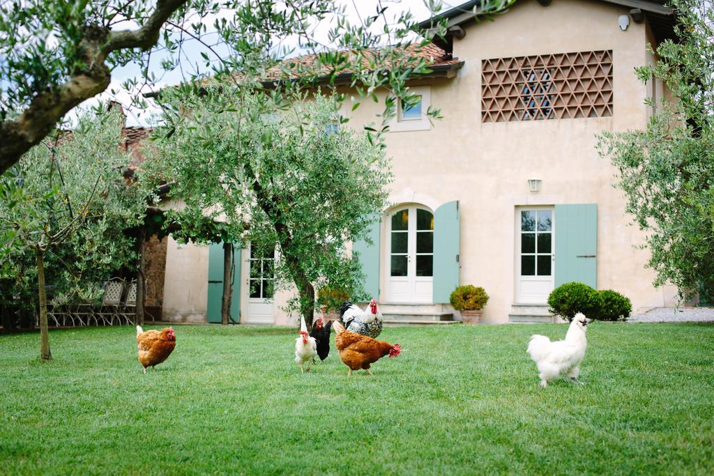 Vila Agriturismo Mareli Camaiore Exteriér fotografie
